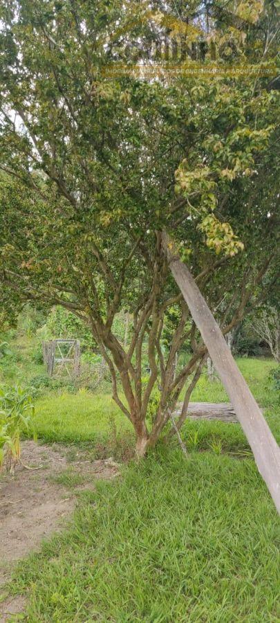 WhatsApp Image 2025-02-10 at 10.33.06.jpeg